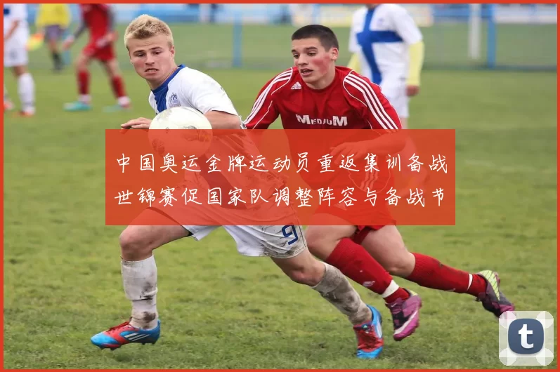 中国奥运金牌运动员重返集训备战世锦赛促国家队调整阵容与备战节奏